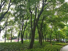 -北外滩滨江绿地