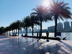 -海心沙亚运公园