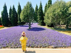 -石家庄市植物园