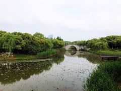 -尚贤河湿地