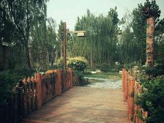 -武清南湖绿博园