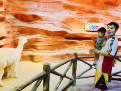 -酷嗒动物文化乐园(cutezoo西溪乐天城店)