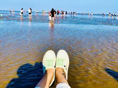 -南汇嘴观海公园