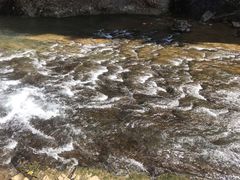 -楠溪江石桅岩