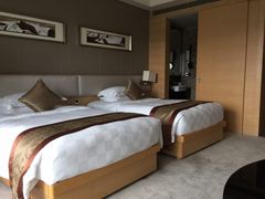 -河源万绿湖美思威尔顿酒店