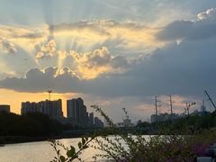-光明港公园