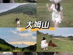-大姆山草场