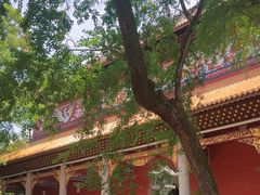 -南岳衡山风景名胜区-南岳大庙