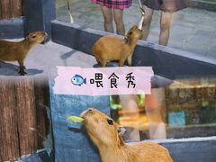 -南昌海洋公园