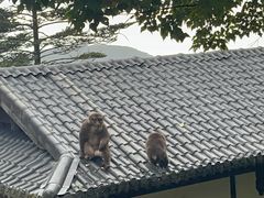-峨眉山风景名胜区