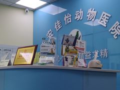 -佳怡动物医院·平价24小时·猫专科骨外科