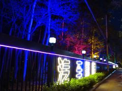 -枫花园汽车电影院(朝阳公园店)