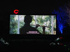 -枫花园汽车电影院(朝阳公园店)