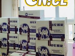-骆驼日式搬家收纳整理