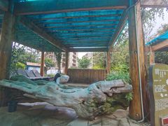 -华侨城阳宗海海景温泉