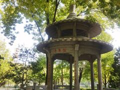 -玲珑塔公园