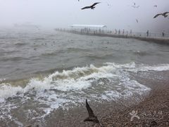 -海驴岛(荣成市)