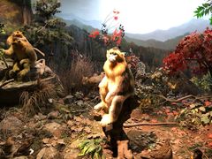 -陕西自然博物馆