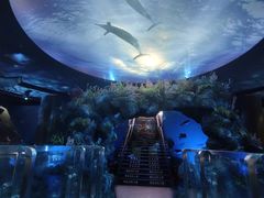 -陕西自然博物馆