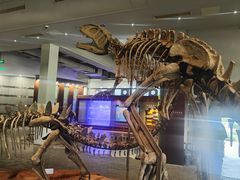 -自贡恐龙博物馆