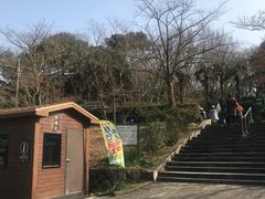 -汉拿树木园