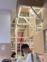 -超级奈尔宝SUPER NEOBIO(杭州星光店)