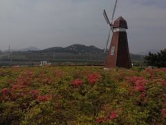 -西海岸生态观光园