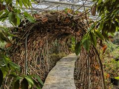 -天源吉布世温泉水乐园