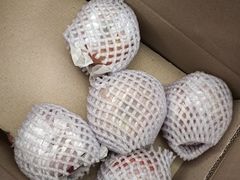 -西郊国际农产品交易中心