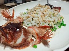 澳洲东星斑-侨美食家·粤菜(体育西路店)