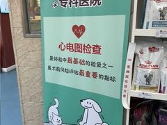 -东日国际动物医院·CT·心脏专科(桃源分院)