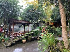 -青城甲(青城山店)