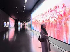 -罗红摄影艺术馆