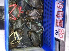 -旅南活海鲜-屏东(墾丁海鮮，海鮮餐廳，墾丁團體合菜，平價熱炒，墾丁熱炒店，活海鮮推薦，在地海鮮餐廳)