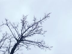 -江南天池