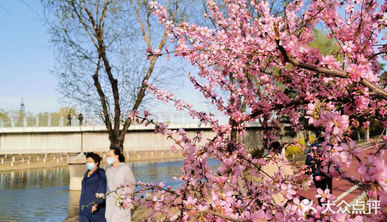 《城市公园》