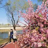 《城市公园》