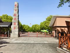 -中国扬子鳄村