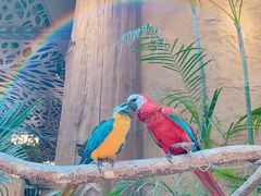 -杭州开元森泊度假乐园