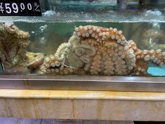 -乐在集市海鲜大排档(平潭店)