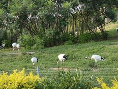 -沈阳森林动物园