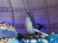 -烟台海昌鲸鲨海洋公园