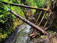 -峡谷浮石林景区