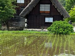 -白川乡与五箇山的合掌构造村落