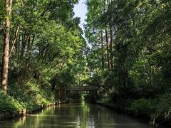 -同里国家湿地公园