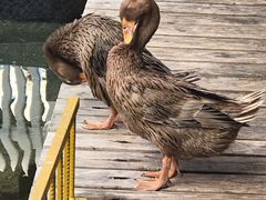 -泉乐坊步行街(烟酒特产平价超市店)