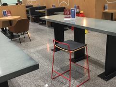 大堂-麦当劳(北京大兴机场二层国内到达(安检外)店)