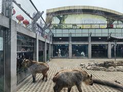 -西安秦岭野生动物园