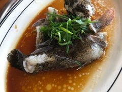 -八仔大富楼·河鲜(西江店)