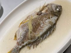 油盐焗立鱼-花城苑广府菜(侨鑫店)